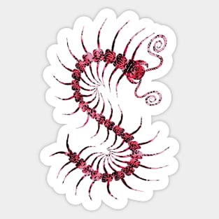 Black on Red Orbate Centipede Sticker